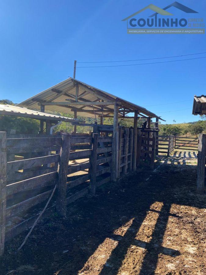 WhatsApp Image 2025-08-01 at 09.06.32 (5).jpeg